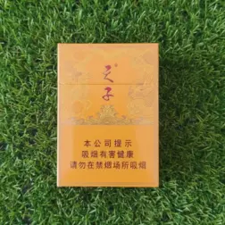 Tianzi (天子 - เทียนจื่อ)