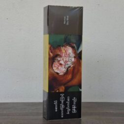 mevius sky blue Myanmar