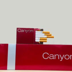 canyon